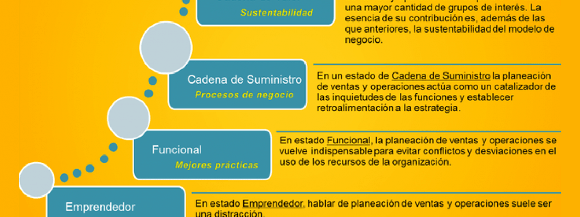 252 ERP SOP El proceso para la ejecución de la estrategia de negocio 01